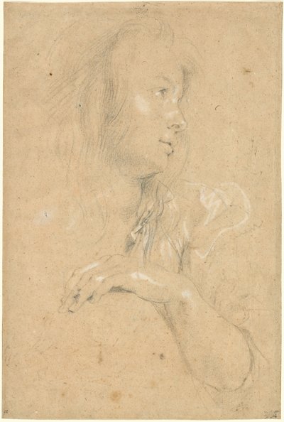 Nuori nainen profiilissa tekijältä Sir Peter Paul Rubens