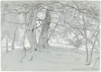 Puut Box Hillillä tekijältä Sir William Blake Richmond
