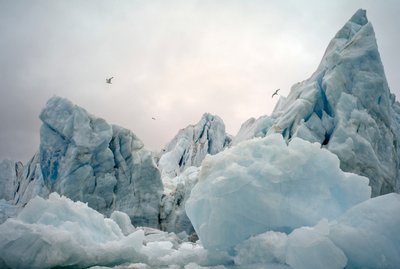 Jäävuoria arktisella merellä Spitsbergenin saaren ympärillä, Norja, 2022 (kuva). tekijältä Sisse Brimberg