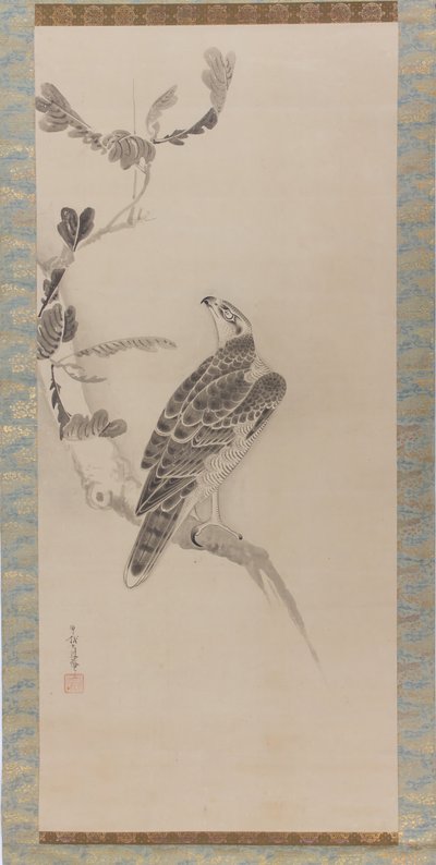 Hawks Taka zu, 1600-luvun puoliväli. tekijältä Soga Nichokuan