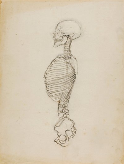Anatomia tekijältä Solon H. Borglum