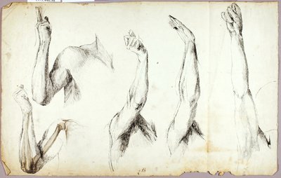 Käsivarsiopinnot, #2 tekijältä Solon H. Borglum