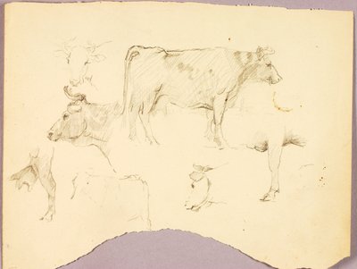 Bulls tekijältä Solon H. Borglum