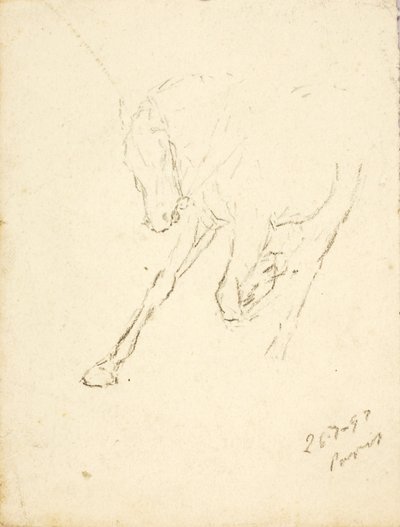 Hevonen tekijältä Solon H. Borglum