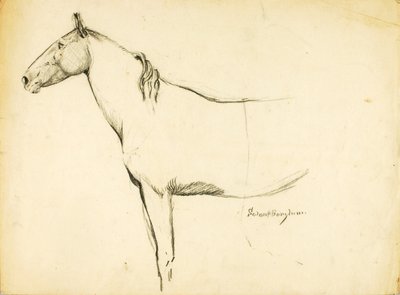 Hevonen tekijältä Solon H. Borglum