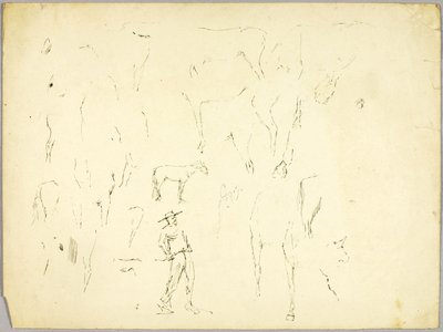 Hevostutkimus tekijältä Solon H. Borglum