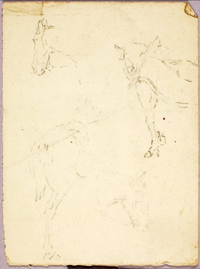 Hevoset tekijältä Solon H. Borglum
