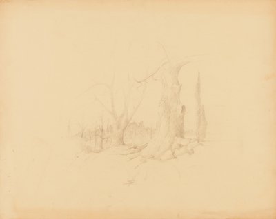 Maisema tekijältä Solon H. Borglum
