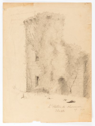 Le Chateau de Chevenevase tekijältä Solon H. Borglum