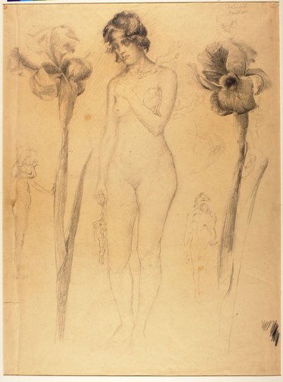 Alaston ja Iris tekijältä Solon H. Borglum