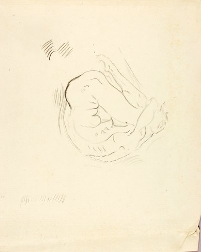 Uimari tekijältä Solon H. Borglum