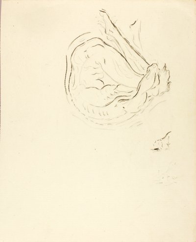 Uimari tekijältä Solon H. Borglum