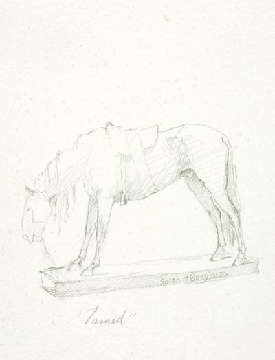 Kesytetty tekijältä Solon H. Borglum