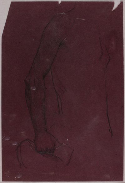 Torso, tutkimus ratsastajamuistomerkkiä varten tekijältä Solon H. Borglum