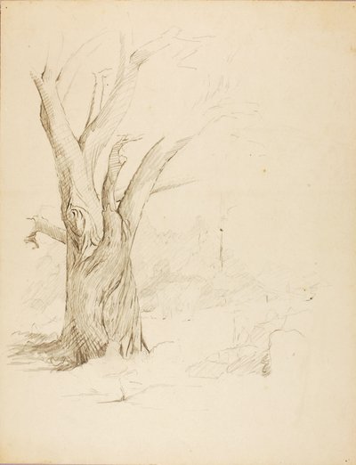 Untitled tekijältä Solon H. Borglum