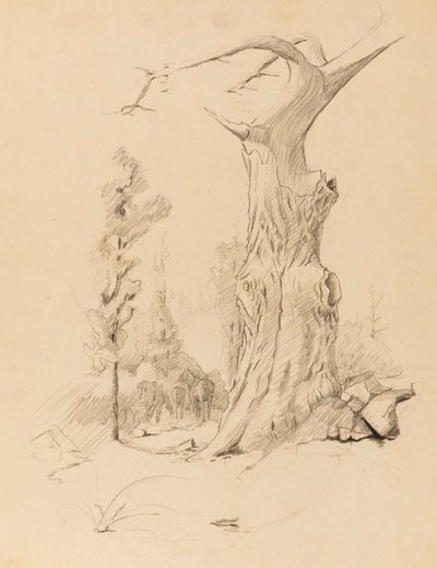 Untitled tekijältä Solon H. Borglum