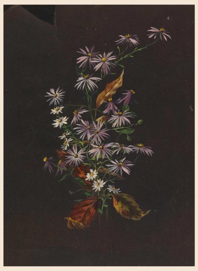 Syksyn kimppu, n. 1890 tekijältä Sophia L. Crownfield