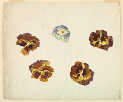 Recto tekijältä Sophia L. Crownfield