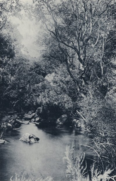Keijukohtaus, lähellä Witpoortjea (m/w kuva) tekijältä South African Photographer