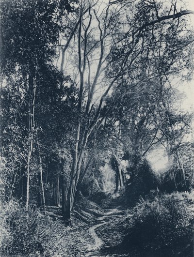 Kohtaus Lydenburgin alueella (m/w kuva) tekijältä South African Photographer