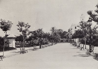 Cadiz: Alameda de Apodaca (m/w kuva) tekijältä Spanish Photographer