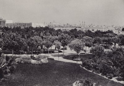 Cadiz: Parque Genoves (m/w kuva) tekijältä Spanish Photographer