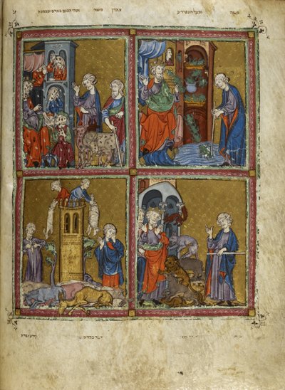 Lisätä. 27210, f.12v Kohtauksia Exoduksesta: Täiden, sammakoiden, murreen ja ruton vitsaukset, kuvat "Kultaisesta Haggadasta" (mustetta, väriä ja kultaa perunakalvolla) tekijältä Spanish School