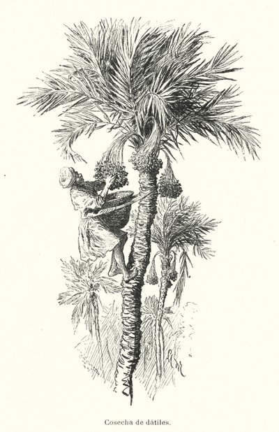 Sadonkorjuupäivät (litho) tekijältä Spanish School