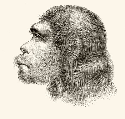 Neandertalin miehen pää, "Nuestro Siglo", julkaistu Barcelona, 1883 tekijältä Spanish School