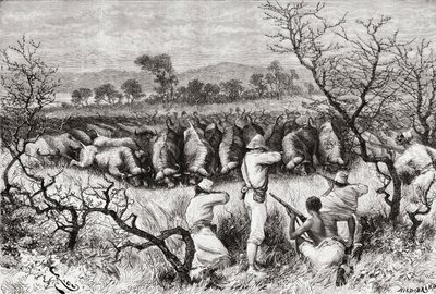 Metsästyspuhveli Keski-Afrikassa 1800-luvun lopulla, "Africa Pintoresca", julkaistu 1888 tekijältä Spanish School