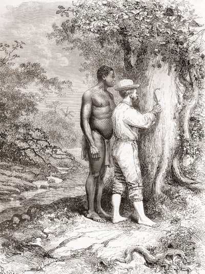 Jules Crevaux tutkiessaan Ranskan Guayanaa vuonna 1878 kaivertaessaan nimikirjaimia puuhun Oyapock- tai Oiapoque-joen rannalla tekijältä Spanish School