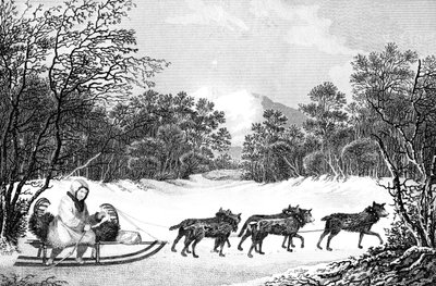 Matkustamisen tapa talvella Kamtšatkassa, 1800-luku. tekijältä Sparrow