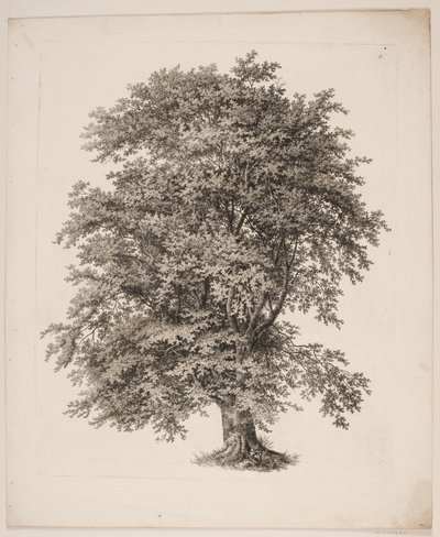 "Studies after Nature with Regard to Landscape Drawing by S.H. Petersen", nro 2 tekijältä Søren Henrik Petersen