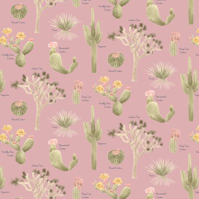 Mojave Desert Cacti -kuvio, 2021 (grafiittikynä ja digitaalinen) tekijältä Stacy Hsu