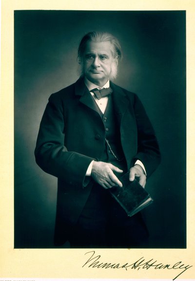 Professori Thomas H. Huxley (1825-95), biologi, muotokuva tekijältä Stanislaus Walery