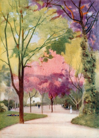 Estrellan puutarha (värilitro) tekijältä Stanley Inchbold