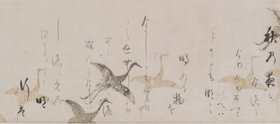 Keisarillinen antologia, Kokinshu, Momoyama-kausi, 1600-luvun alku. tekijältä Sôtatsu