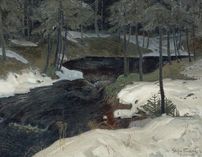 Bergstrom tekijältä Stefan Filipkiewicz