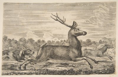 Koirat jahtaavat polttaria ja hirveä, n. 1654. tekijältä Stefano della Bella