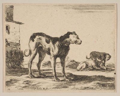 Levy 11: koirat, eri eläimistä Diversi animali, n. 1641. tekijältä Stefano della Bella