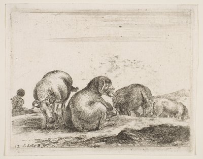 Levy 12: lampaat ja pässi laitumella, eri eläimistä Diversi animali, n. 1641. tekijältä Stefano della Bella