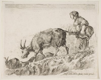 Levy 14: paimen paimen vuohia, eri eläimistä Diversi animali, n. 1641. tekijältä Stefano della Bella