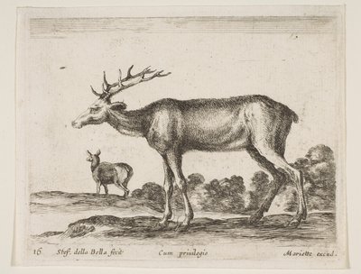 Levy 16: polttarit, eri eläimistä Diversi animali, n. 1641. tekijältä Stefano della Bella