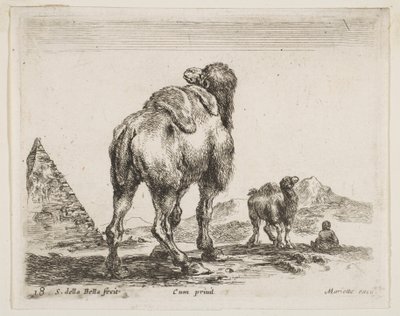 Levy 18: kameli takaa katsottuna, pyramidi vasemmalla, eri eläimistä Sukeltaja..., n. 1641. tekijältä Stefano della Bella