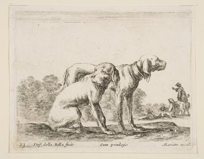 Levy 23: kaksi koiraa, eri eläimistä Diversi animali, n. 1641. tekijältä Stefano della Bella
