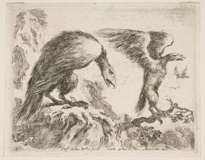Levy 2: kotka ja kotkanpoika, eri eläimistä Diversi animali, n. 1641. tekijältä Stefano della Bella