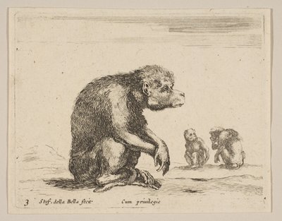 Levy 3: istuva apina, eri eläimistä Diversi animali, n. 1641. tekijältä Stefano della Bella