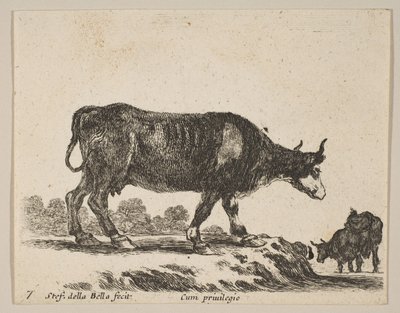 Levy 7: lehmä, eri eläimistä Diversi animali, n. 1641. tekijältä Stefano della Bella