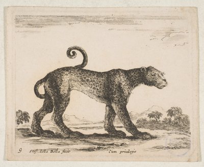 Levy 9: leopardi, lajista "Erilaiset eläimet" Diversi animali, n. 1641. tekijältä Stefano della Bella