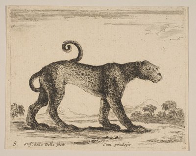 Levy 9: leopardi, eri eläimistä Diversi animali, n. 1641. tekijältä Stefano della Bella